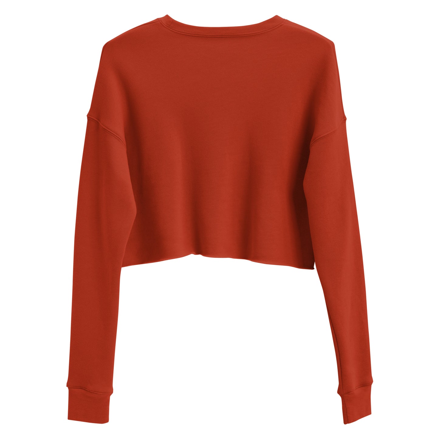 Ab-Solute Crop Top Sweatshirt – Signature Series - Sweatshirt - Cultureopolis